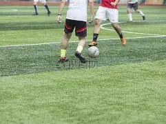 演技与颜值,皆欠奉,位靠关系上,开云体育,开云体育官网,开云体育app,开云体育平台,KAIYUN,SPORTS,kaiyun登录入口