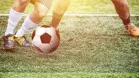 开运体育入口 产品 093000 r24